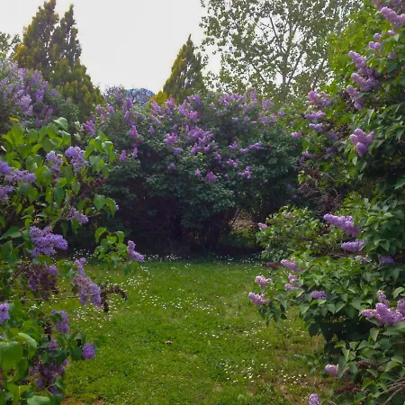 Garden Of Eden * Spolète